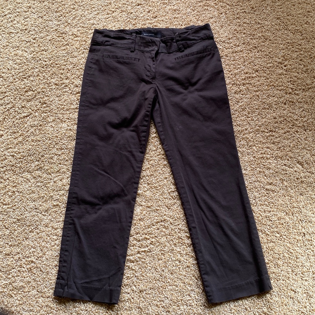 Zara Basic Capri Pants.